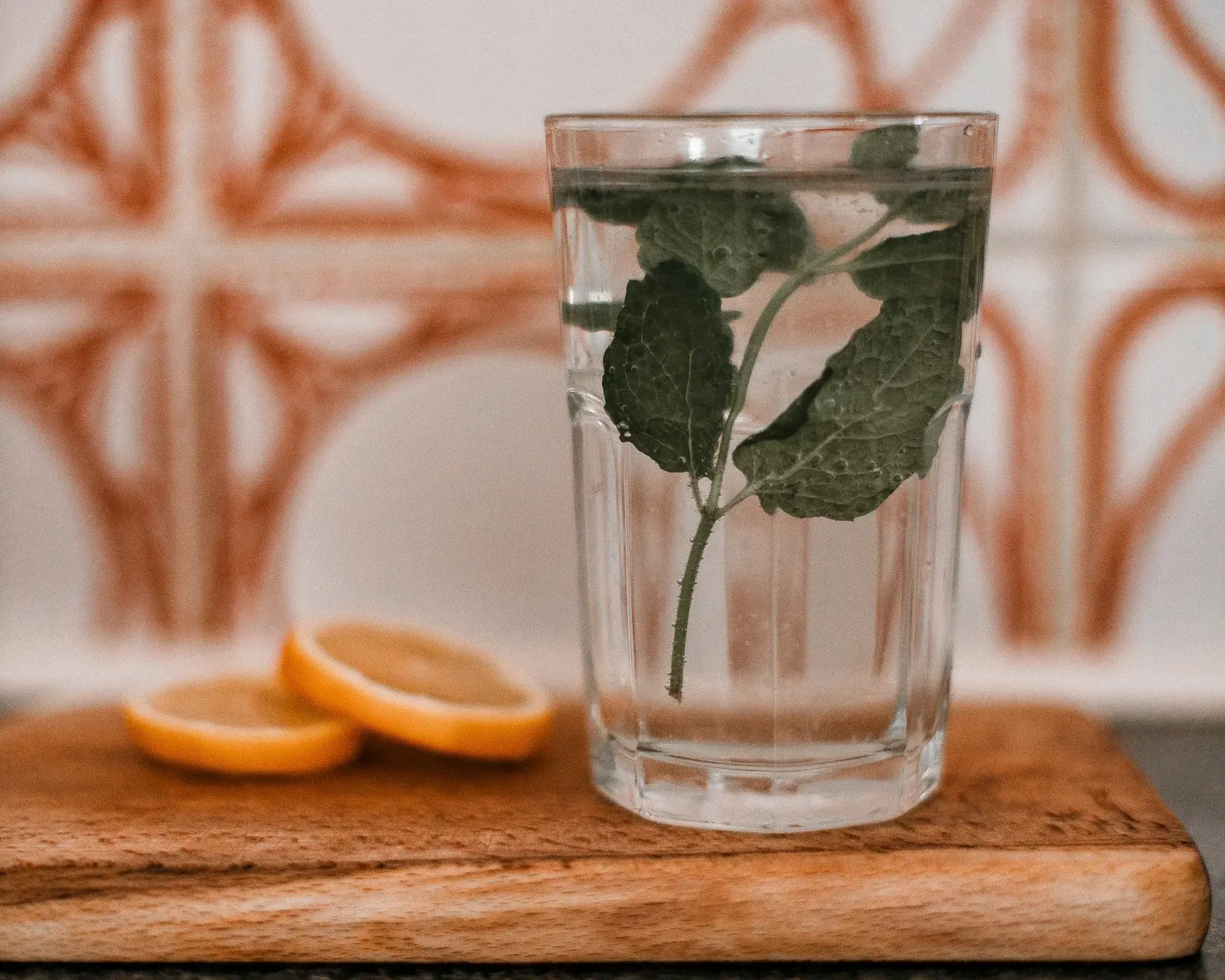 Glass of water with mint leaves beside orange slices on a counter