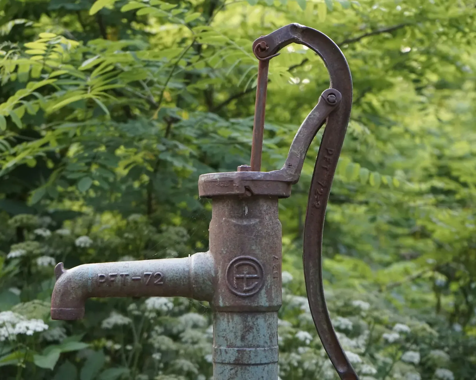 Old cast-iron hand water pump standing in a leafy garden